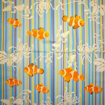 019 Fische - 3-lagig - Susy Card